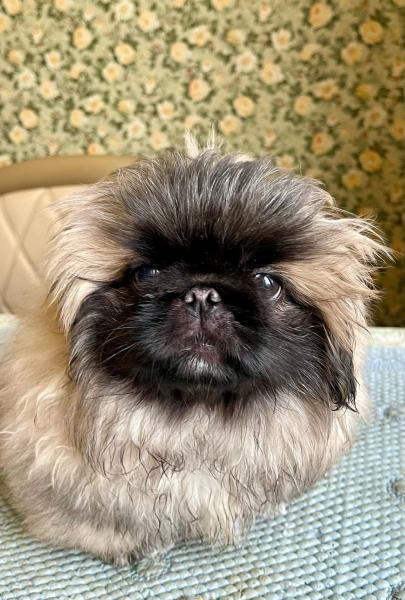 Прикрепленное изображение: IMG-20250405-WA0043.jpg